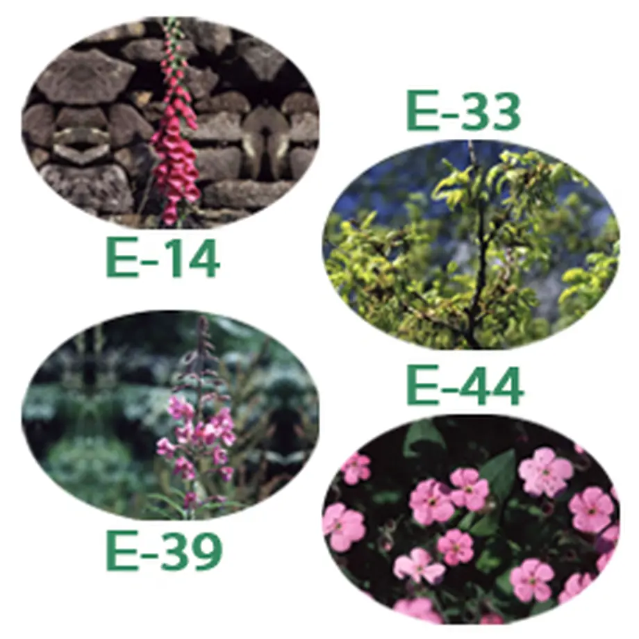 5c40267db504f54de70181c1