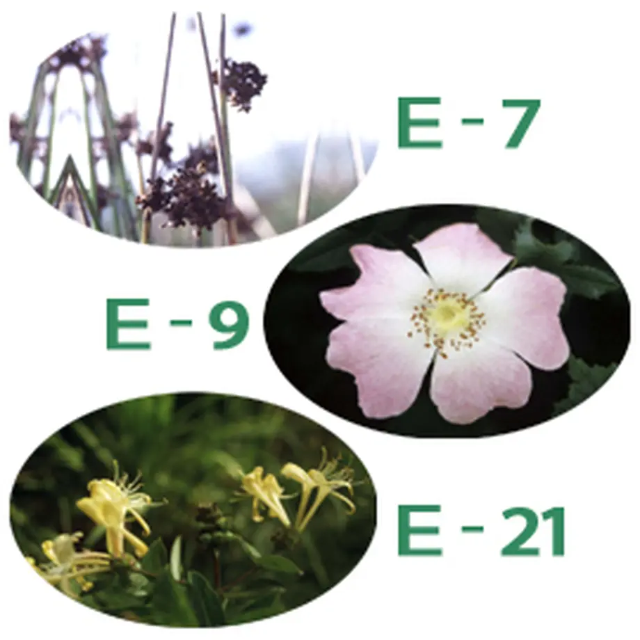 5c40267cb504f54de70181ab