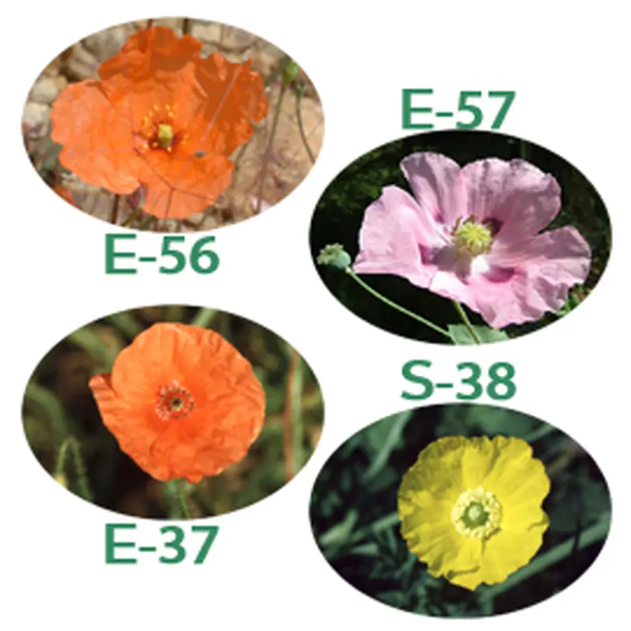 5c40267bb504f54de7018188