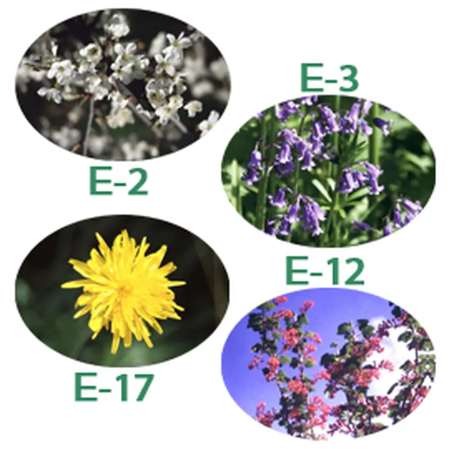 5c40267db504f54de70181be