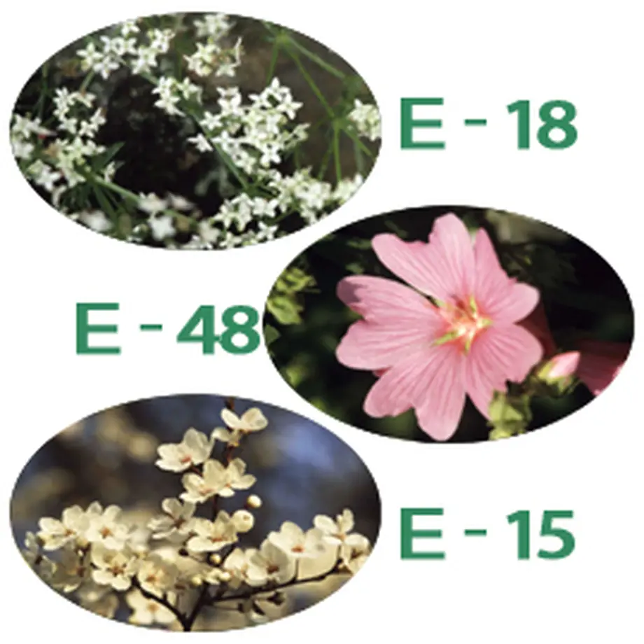 5c40267cb504f54de701819d