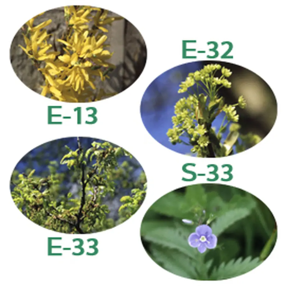 5c40267bb504f54de7018196