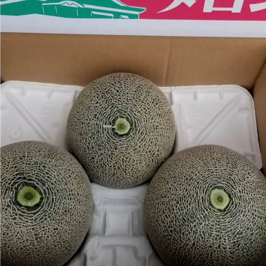 5d00d31cf8975428d13eec14
