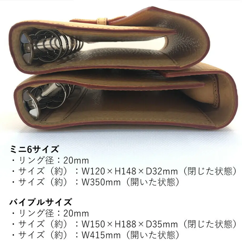 6195ec55fda1da393e24f33a