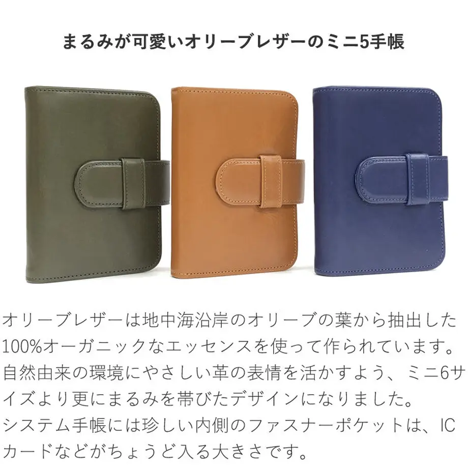 618a542054ddd803e9b29500