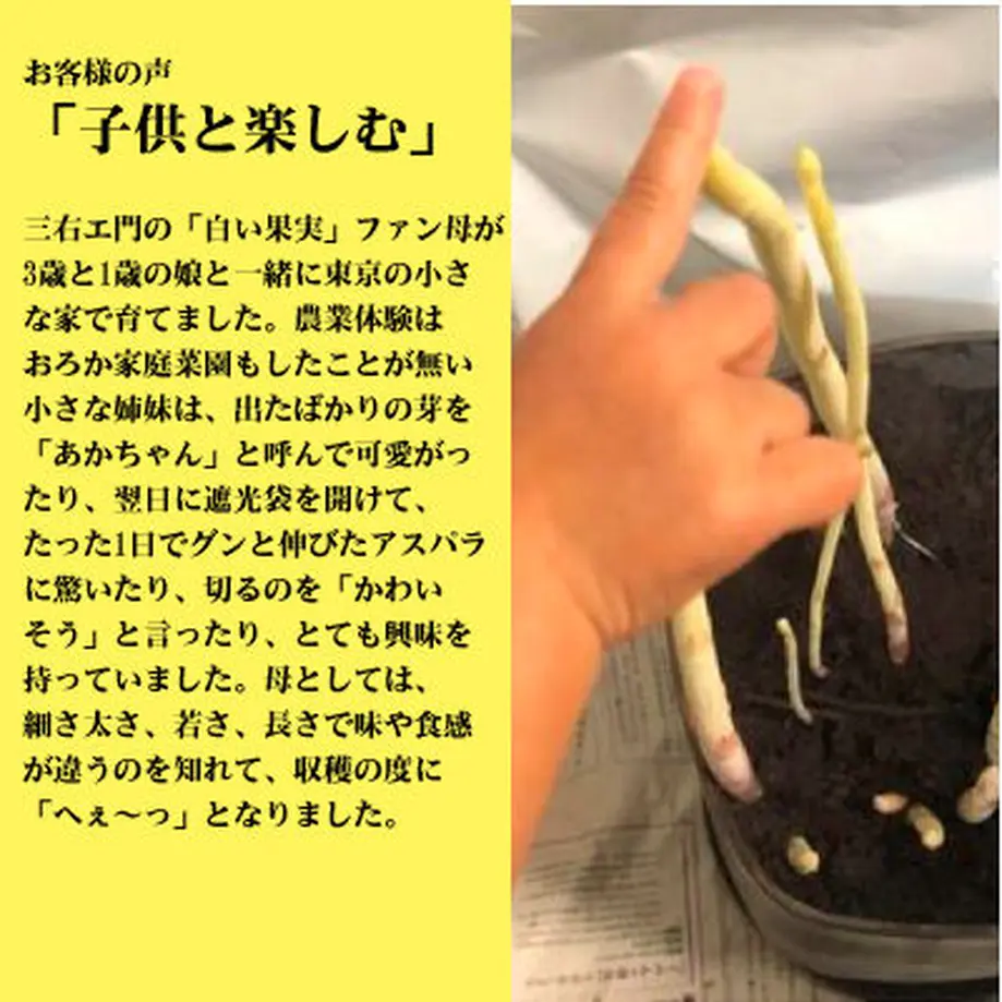 5fa650a4b00aa36780a04120