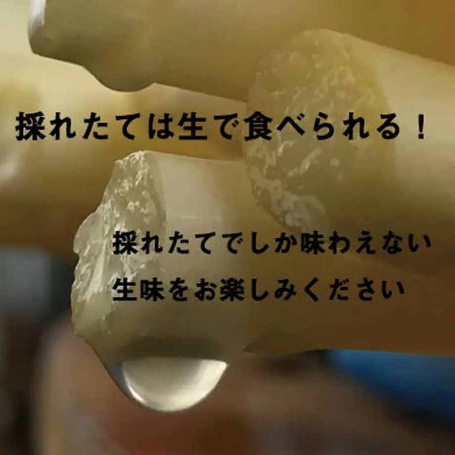 5fa650a4b00aa36780a04120