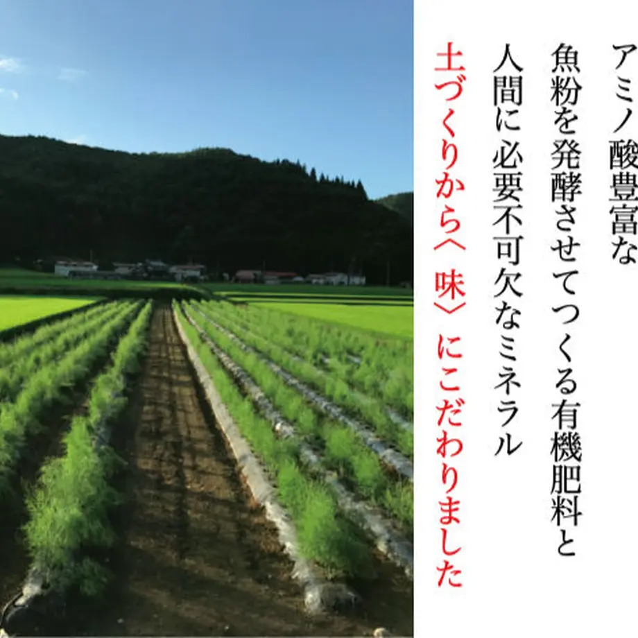5fa650a4b00aa36780a04120