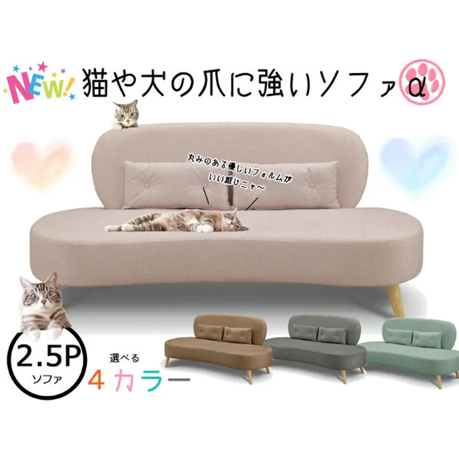 618dc8fe4e808250b6713402
