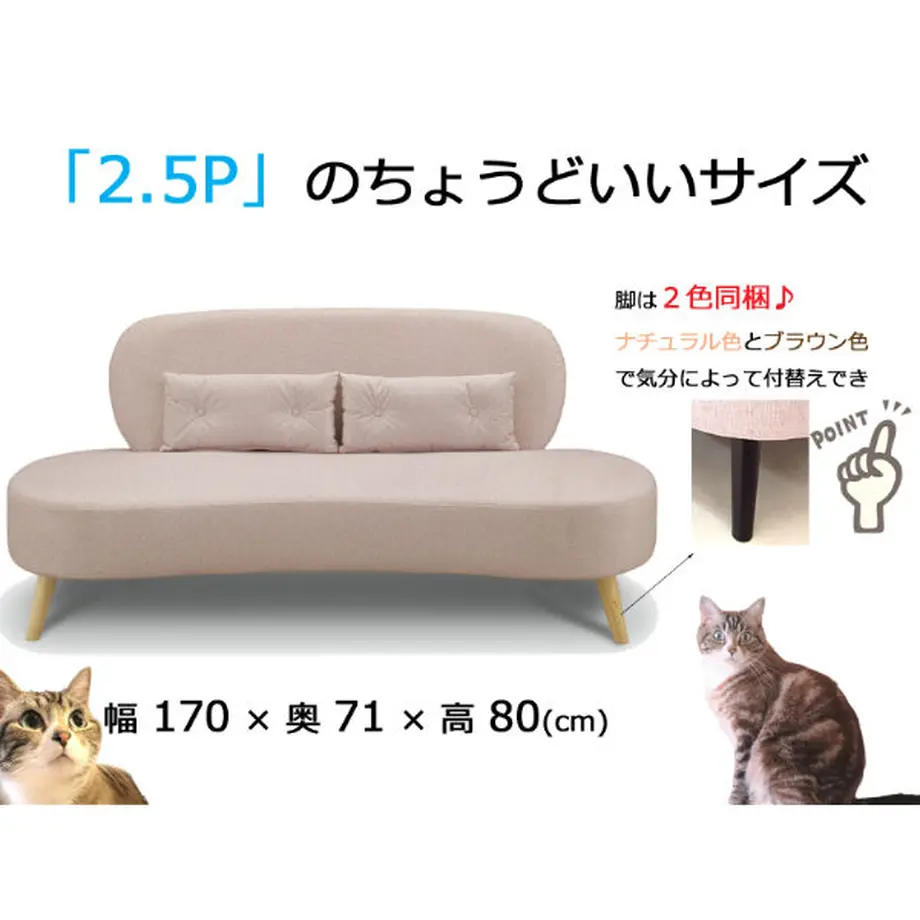 618dc8fe4e808250b6713402