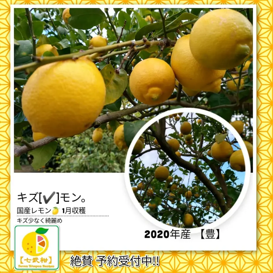 5e29328cc78a5324e4a9822f