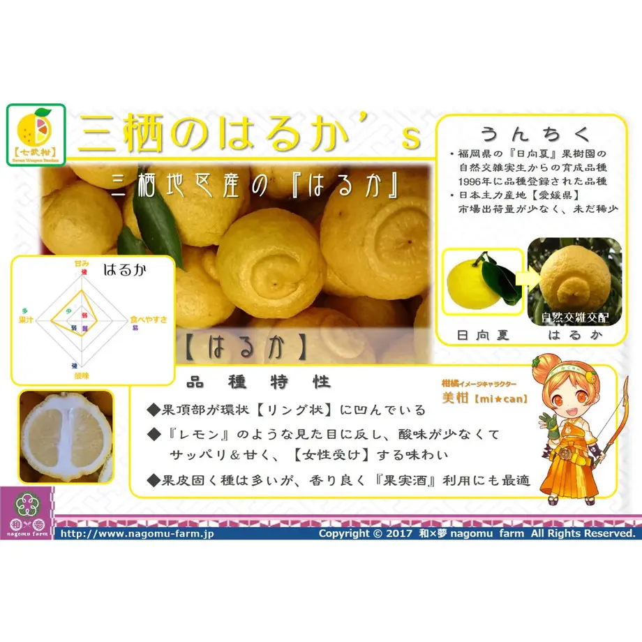 600827f8ccdd936815face91