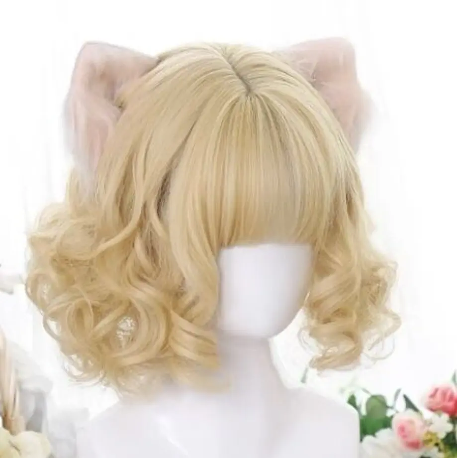 6300d2ad2fc88170420f461c
