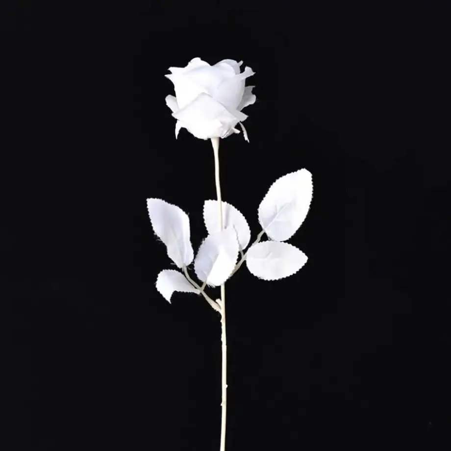 6199f2ba7e588f3482ed215f