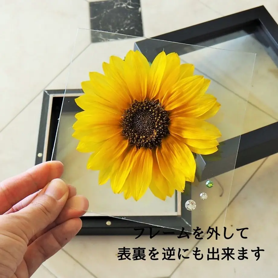 5ef9ad0274b4e47b888f55f0