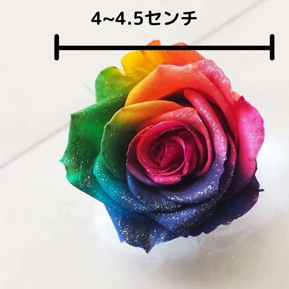 559c84debfe24c0cd6003e4b