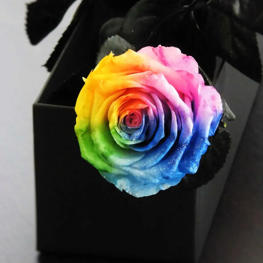 5a3caf6eed05e60516000050