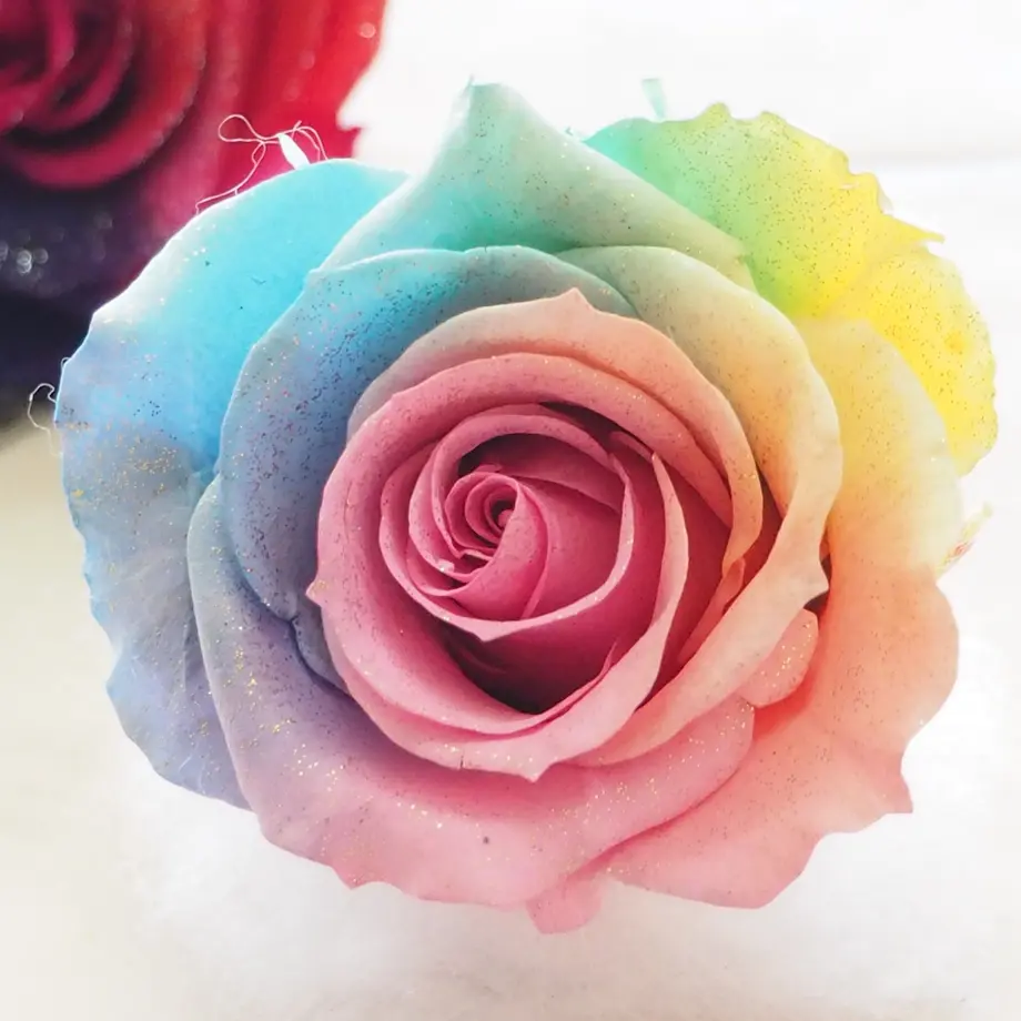 5ff7d73fb00aa355f78d5ea0