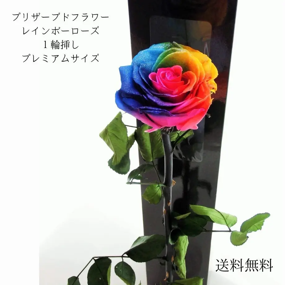 5d706cb165d32646a9c6492f