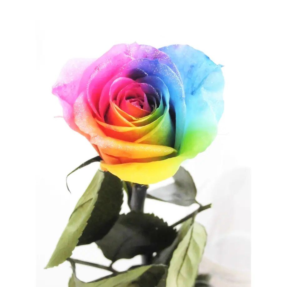 5b5ad25fef843f7f980001f3