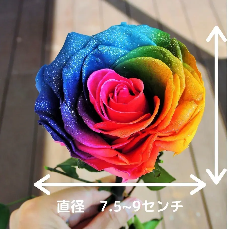 5d706cb165d32646a9c6492f