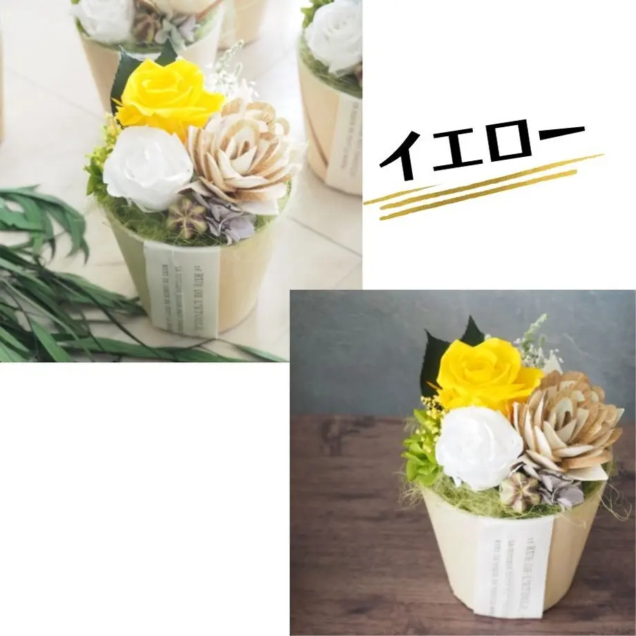6232eb9ad085ee45aaa678f2