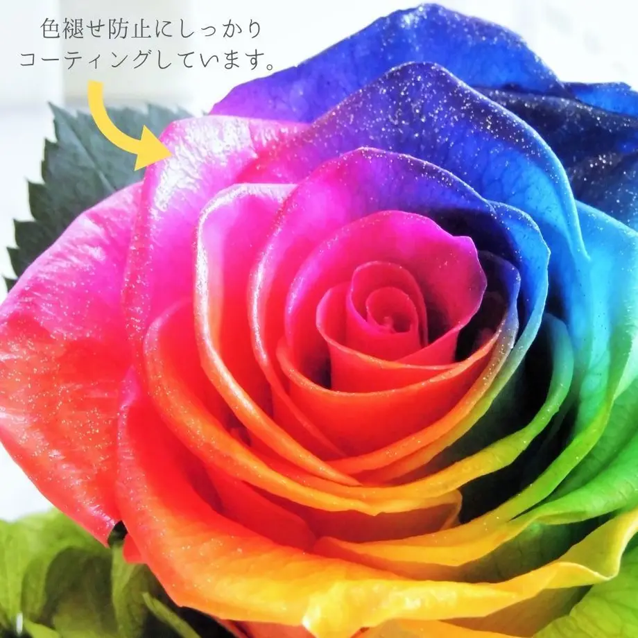 5b065b9b122a7d689200512d