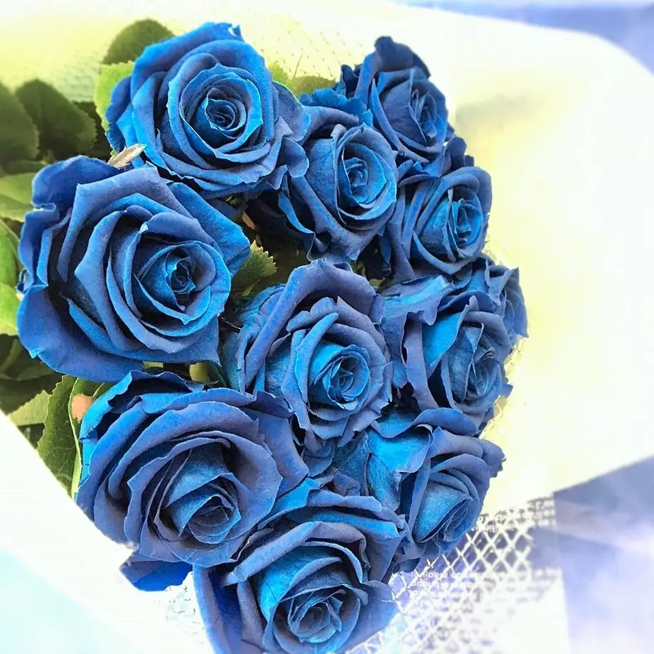 58a2bde100d331e86101c2c8