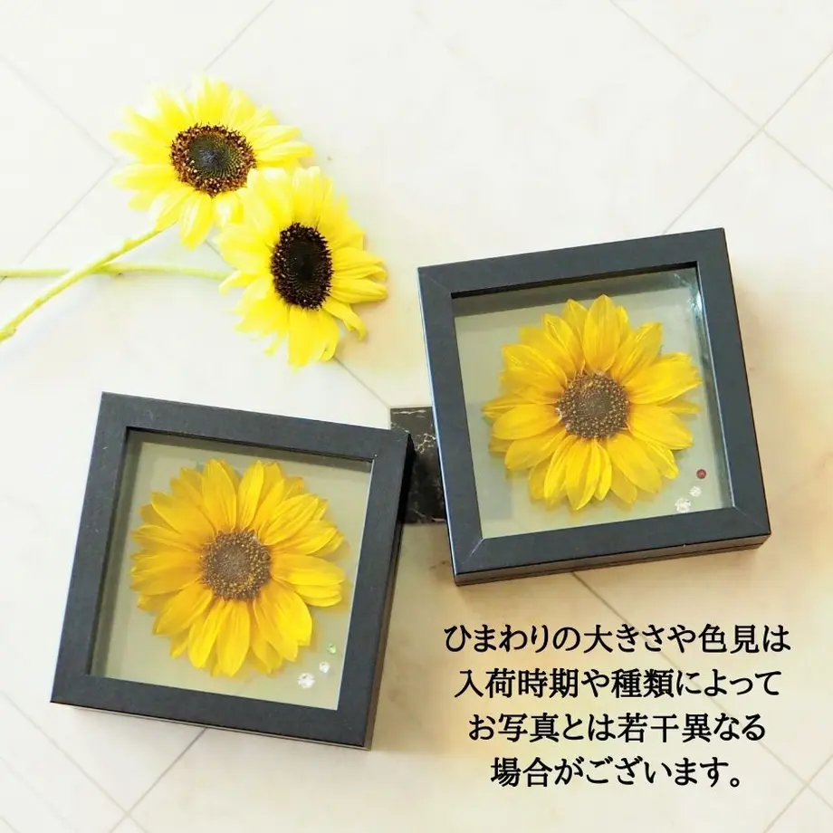 5ef9ad0274b4e47b888f55f0