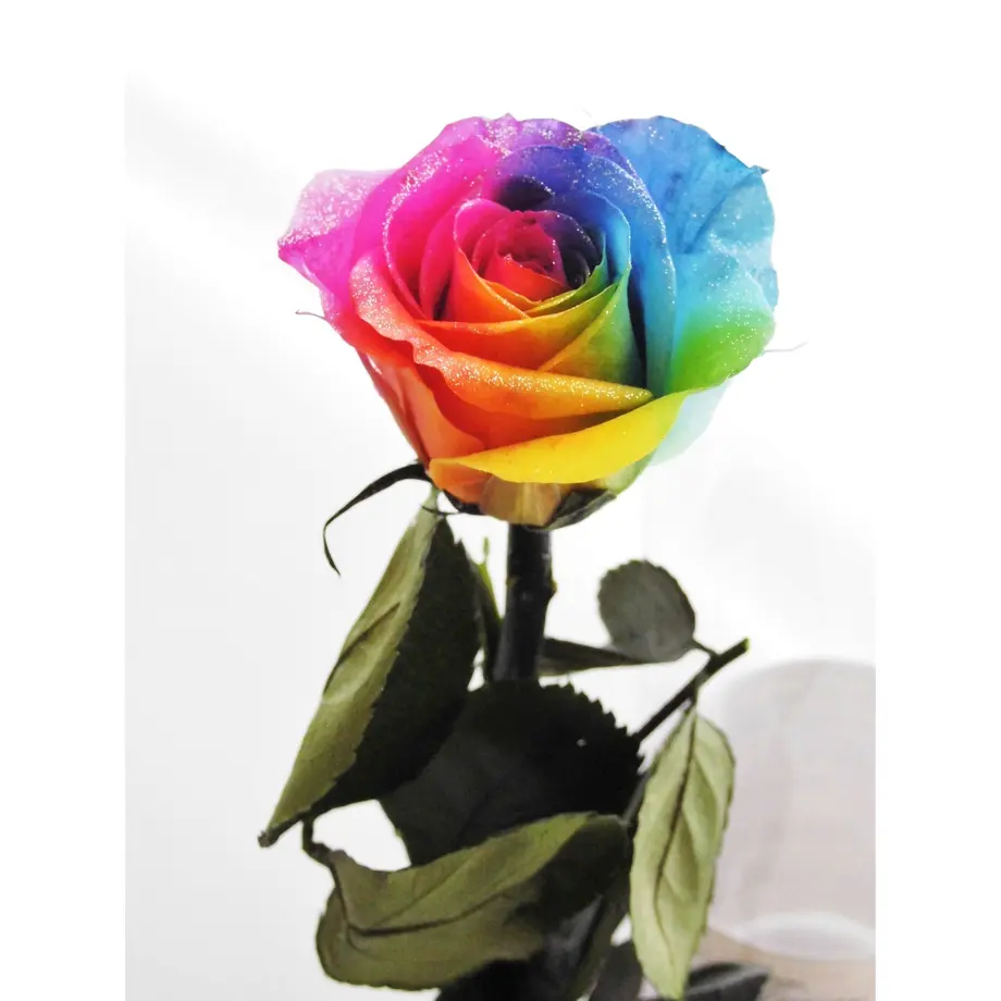 5b5ad25fef843f7f980001f3