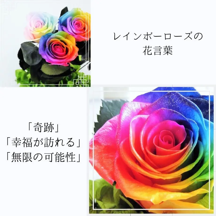 5b065b9b122a7d689200512d