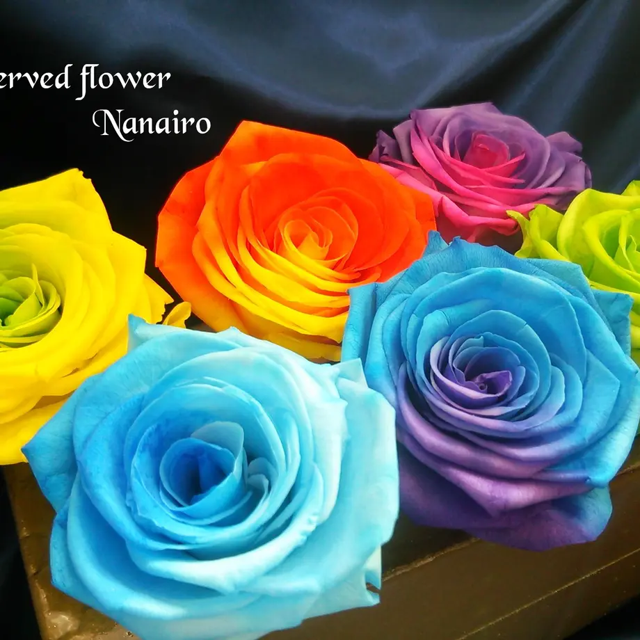 566fb796be6be38d61000f8f