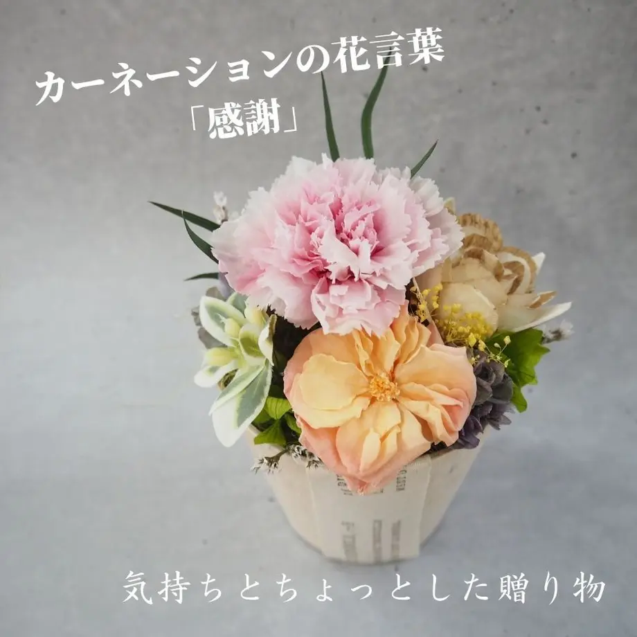 622c52ea9a70625f8e55529d