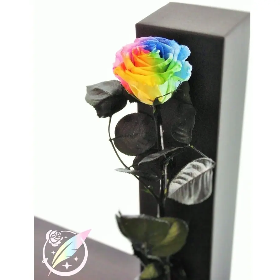 5a3caf6eed05e60516000050