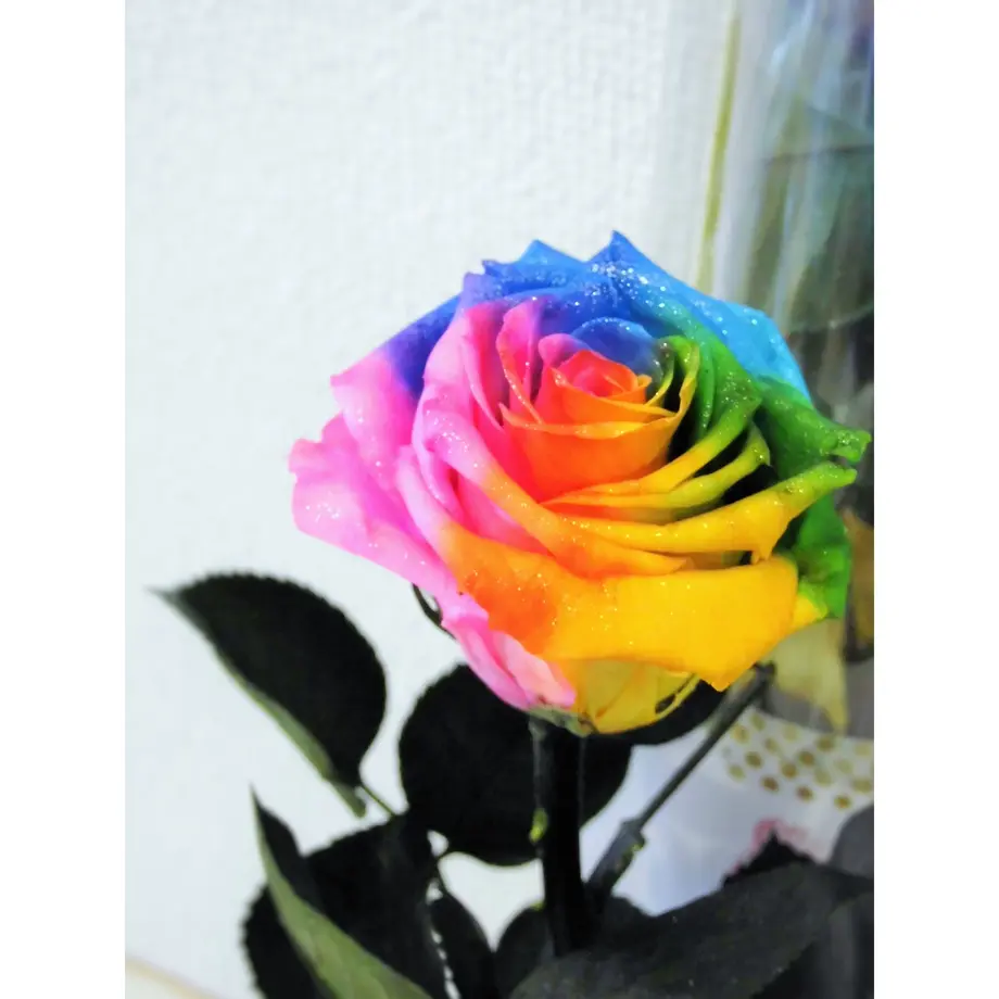 5b2c90f4122a7d1da900067c