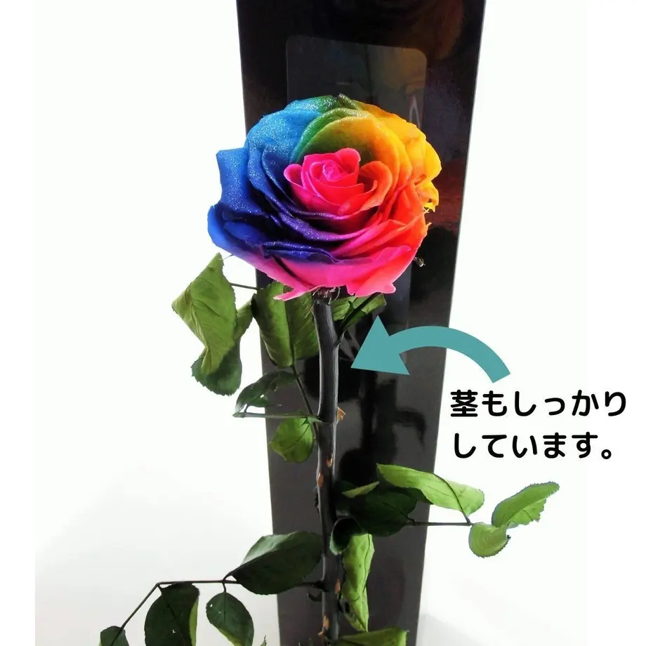 5d706cb165d32646a9c6492f