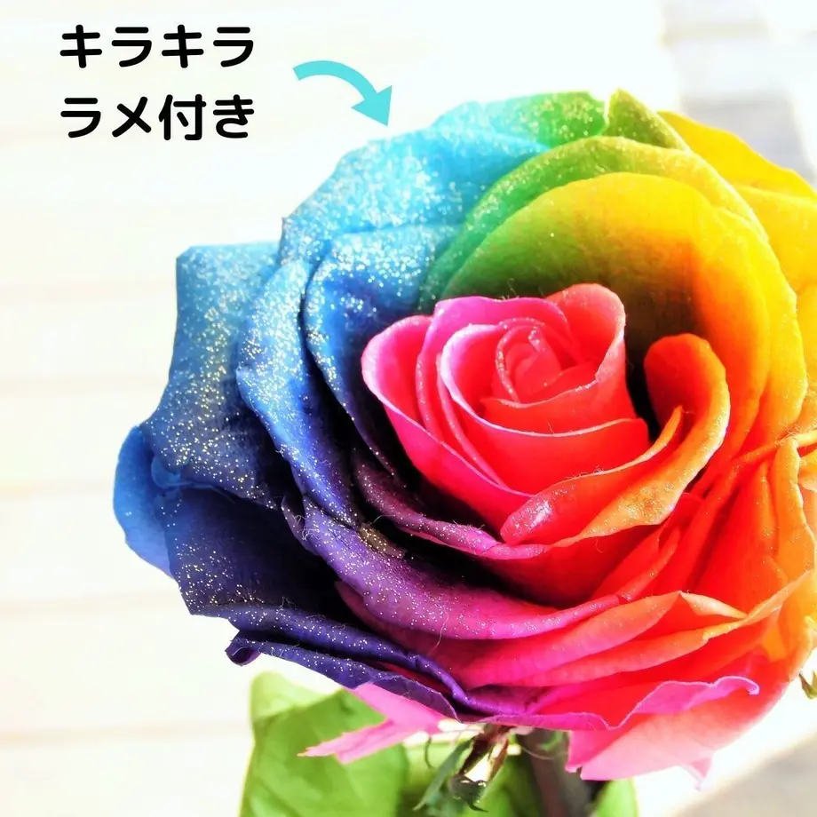5d706cb165d32646a9c6492f