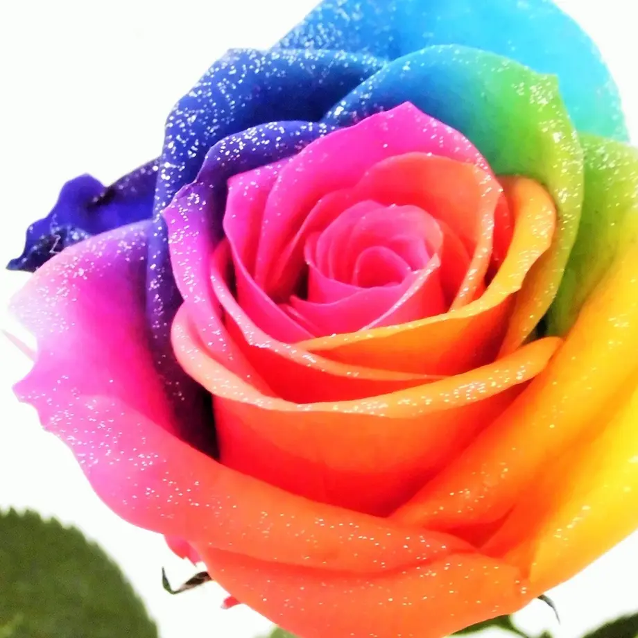 5cc00a6dadb2a125f2f32b04