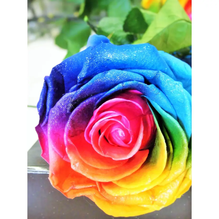 5d706cb165d32646a9c6492f