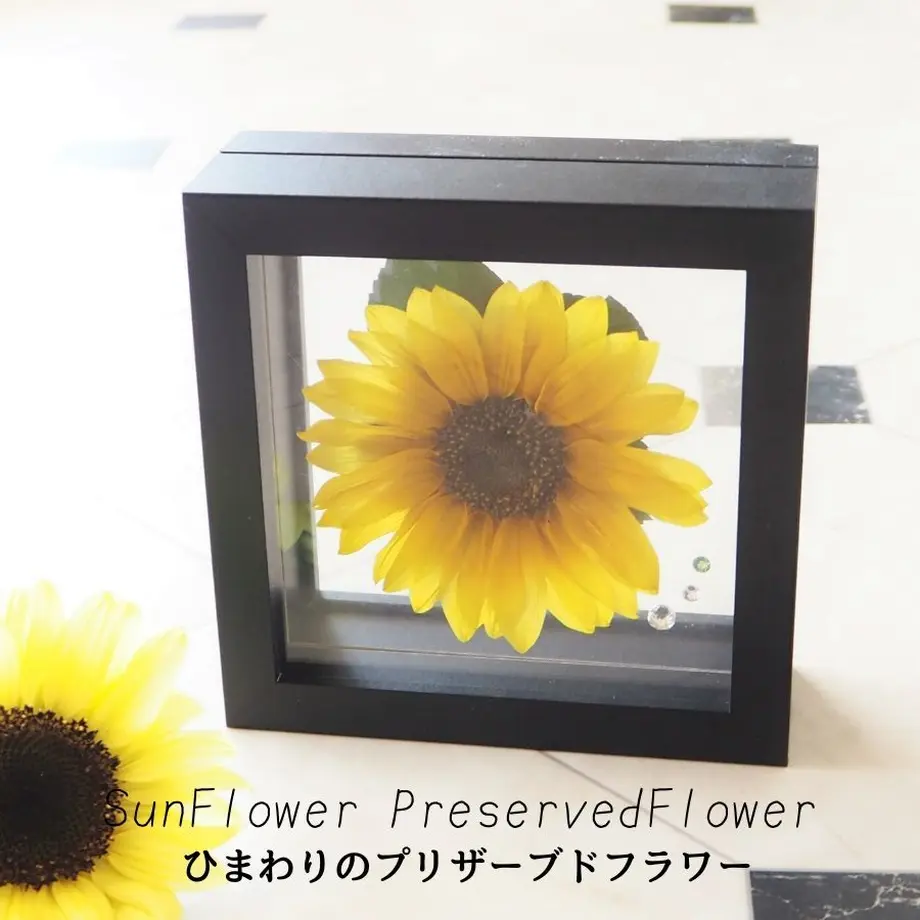 5ef9ad0274b4e47b888f55f0