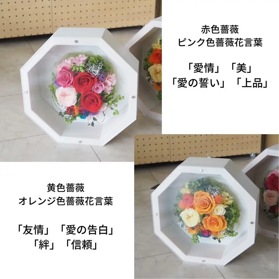 5f6c655a4b0839264509b99d