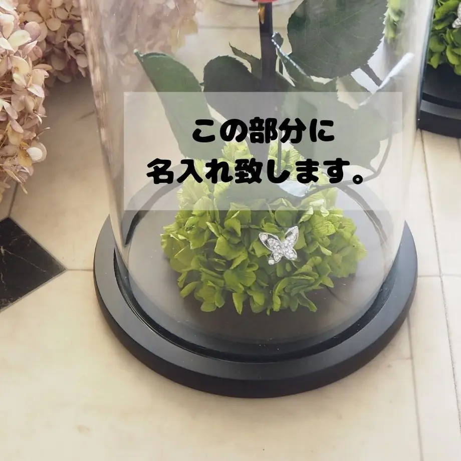 5b065b9b122a7d689200512d
