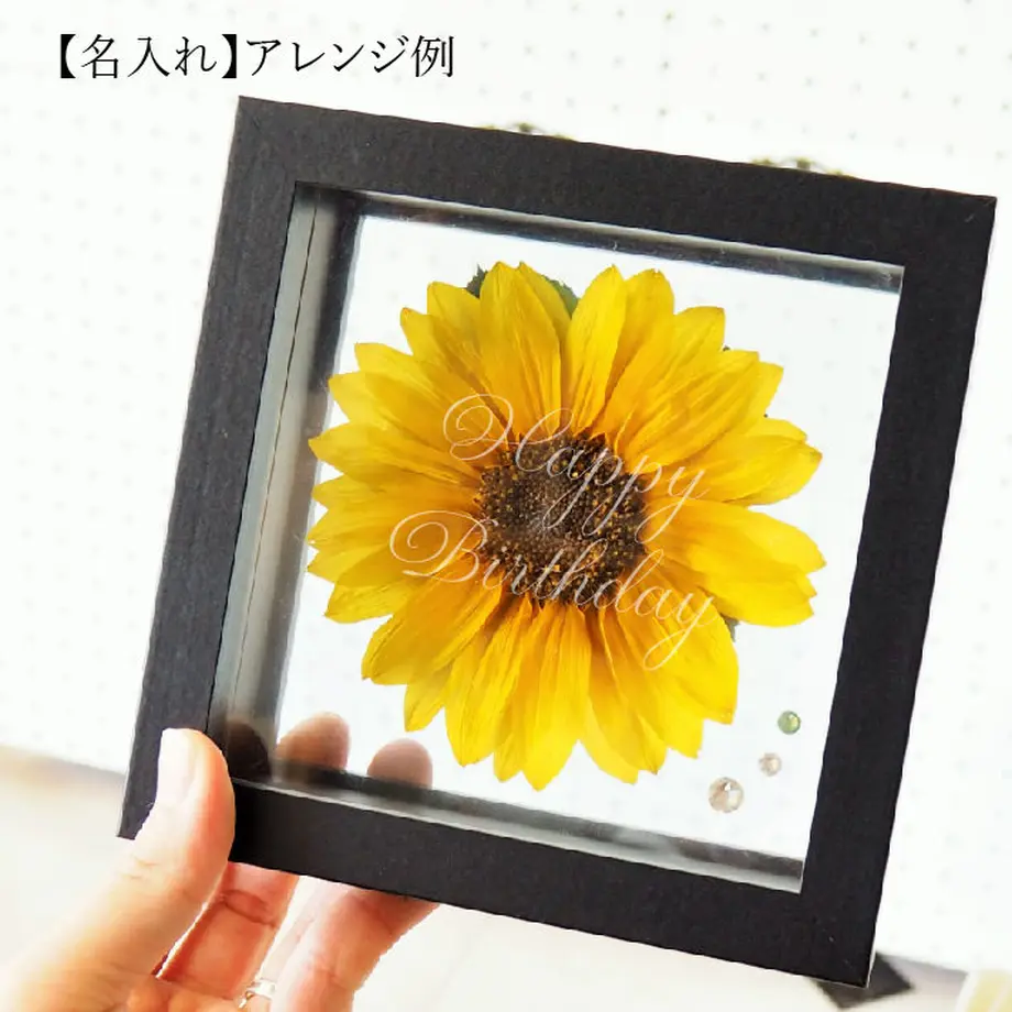 5ef9ad0274b4e47b888f55f0