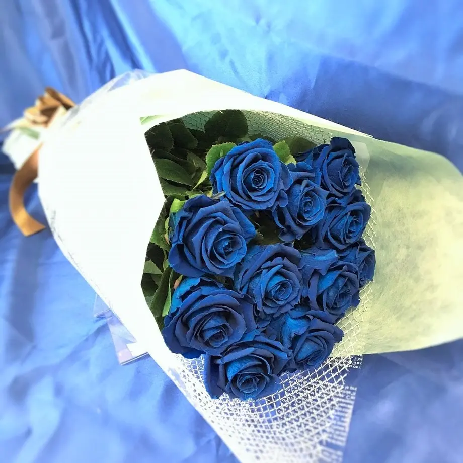 58a2bde100d331e86101c2c8