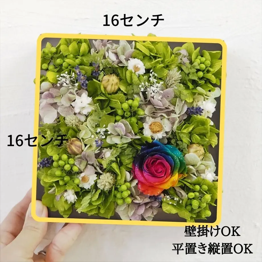 5fb4847edf51595ed3117d24