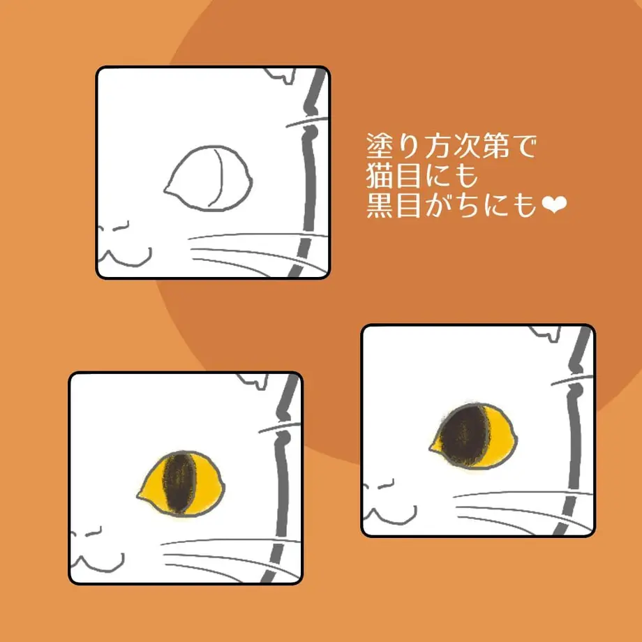 5e77884be20b040f5b566161