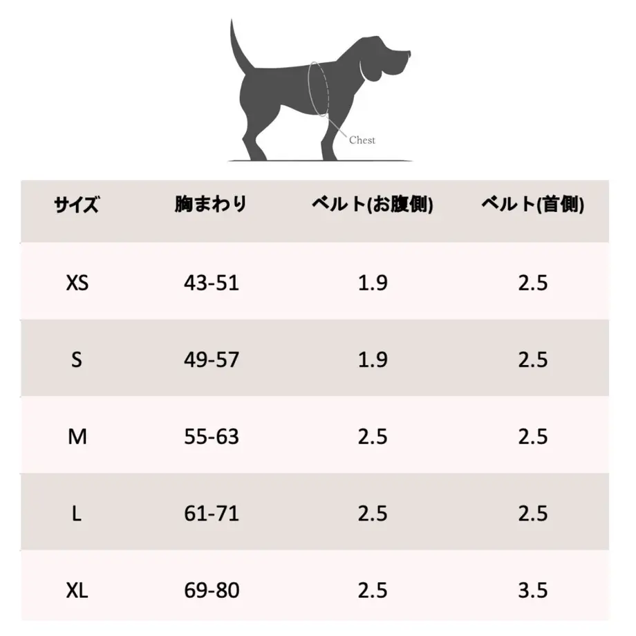 6061a6931e746b6b7a004e10