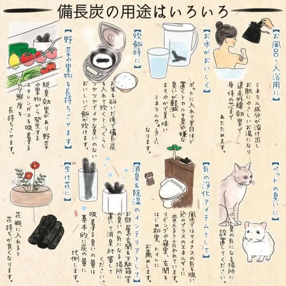 62a055a30536245ae0f8dfed