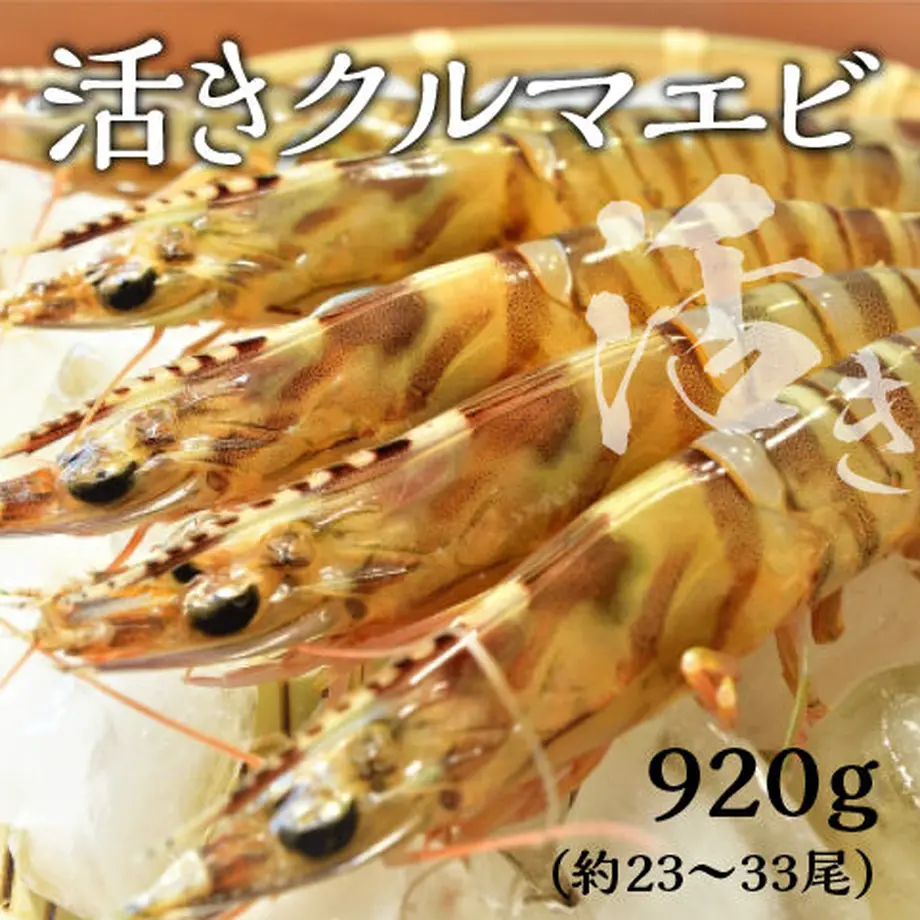 5fd6ce3ddf5159666b950097