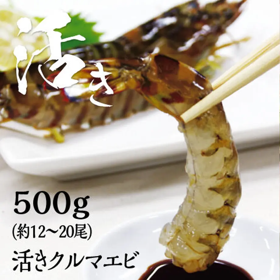 5fd32444b00aa30ba8712597